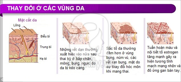 Thay đổi của cơ thể khi mang thai 11